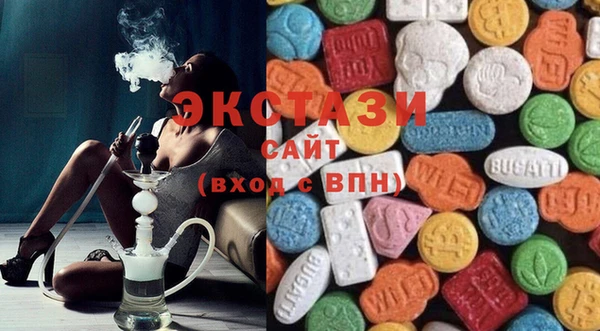 хмурый Арсеньев