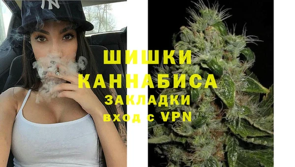 хмурый Арсеньев