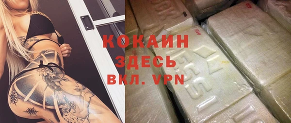 хмурый Арсеньев