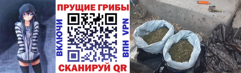 продажа наркотиков hydra ссылки Галлюциногенные грибы GOLDEN TEACHER Бахчисарай